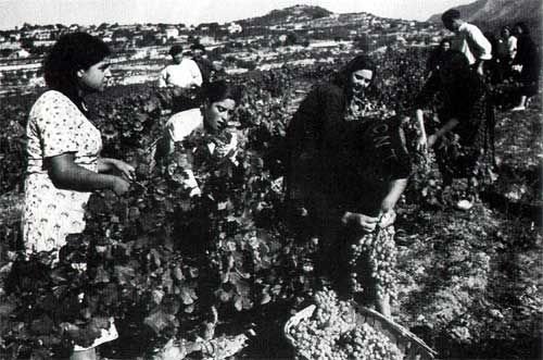 Spanischer Bürgerkrieg und anarchistische Revolution 1936-39 - Bild Agrarkollektiv